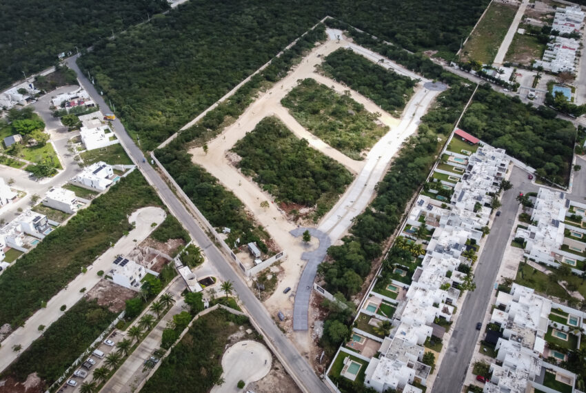 DJI_0950