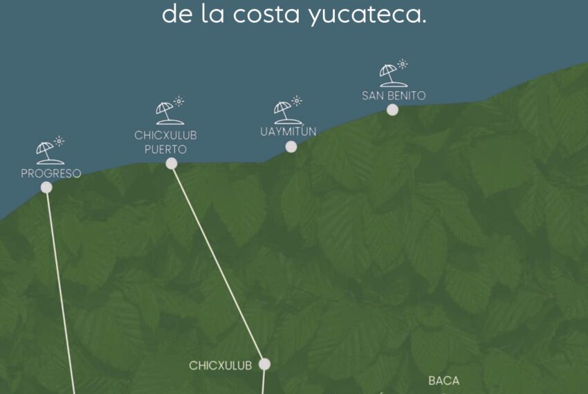 Yaxkú Brochure Whatsapp_page-0004