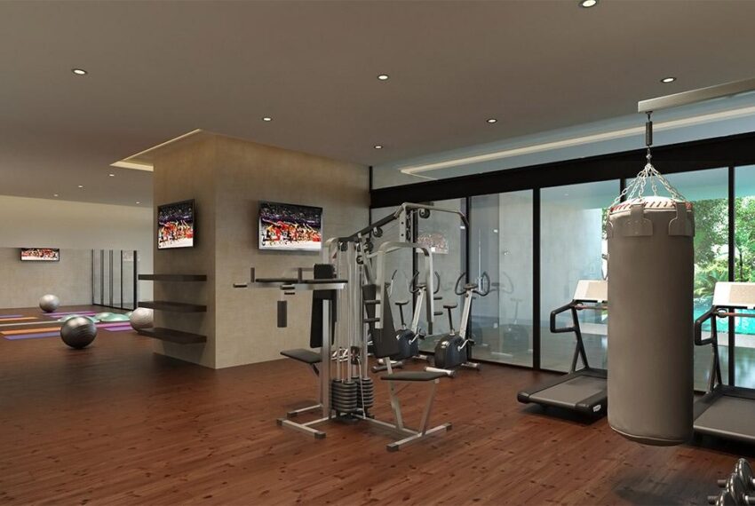 gimnasio