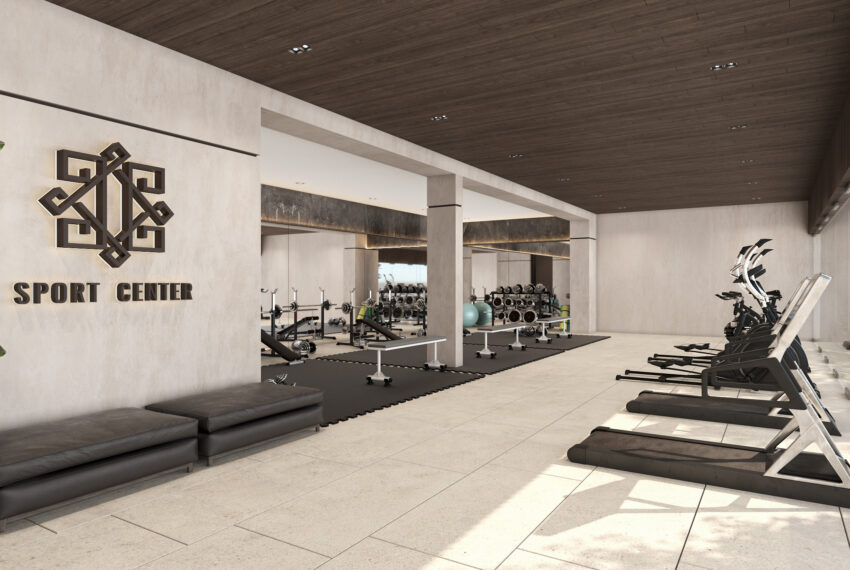 12 GIMNASIO