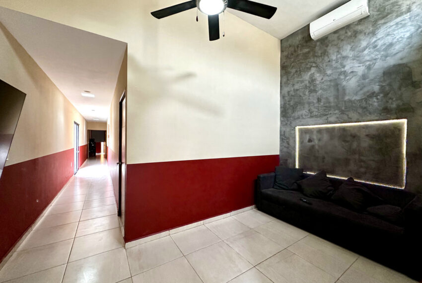 19. Estudio