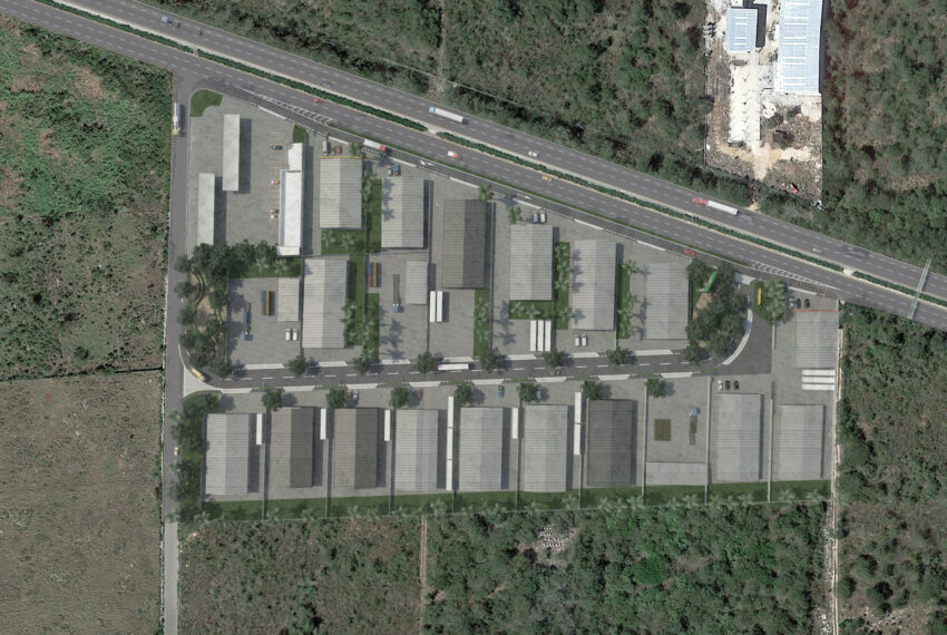 3- Planta aerea