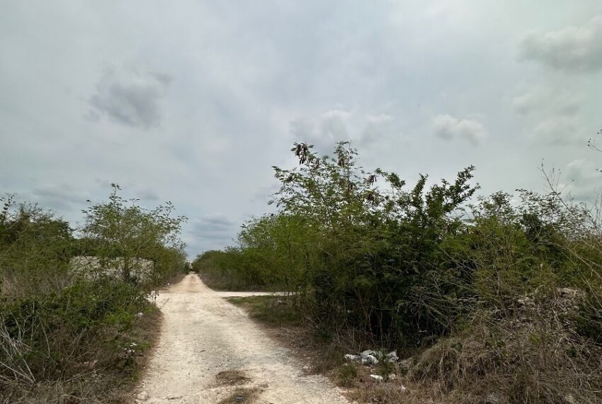 EB-NM1457 (3)