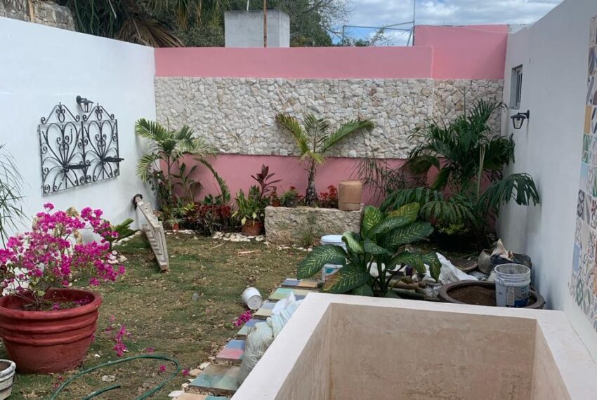 jardin (1)