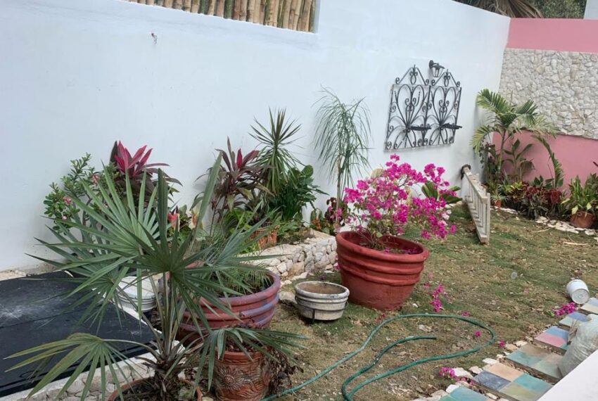 jardin