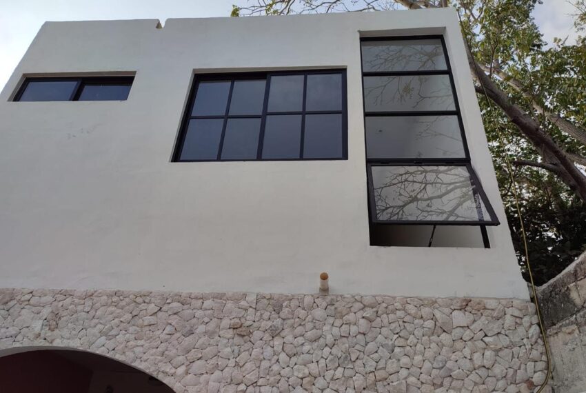 ventanas traseras