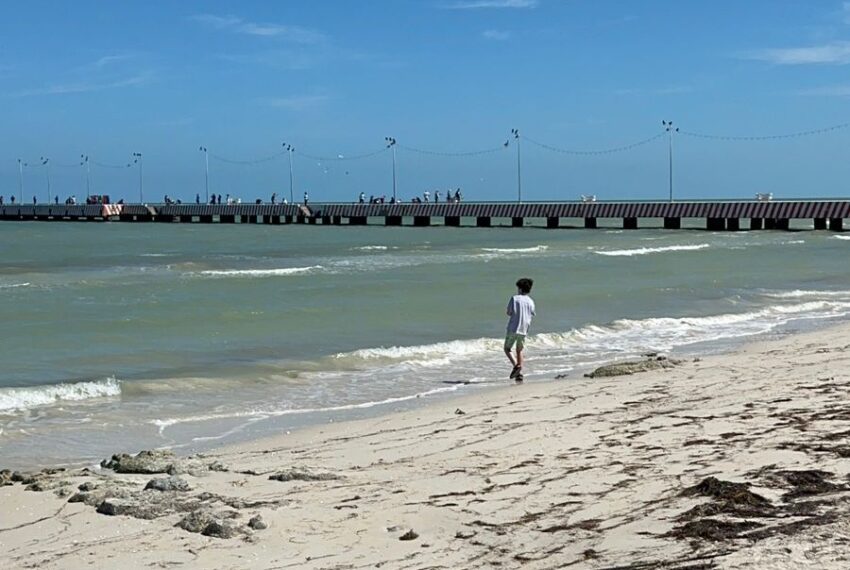 Playa
