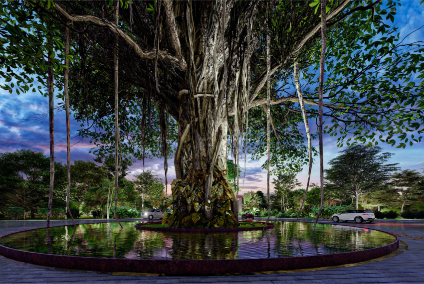 TAMANKAYA ARBOL