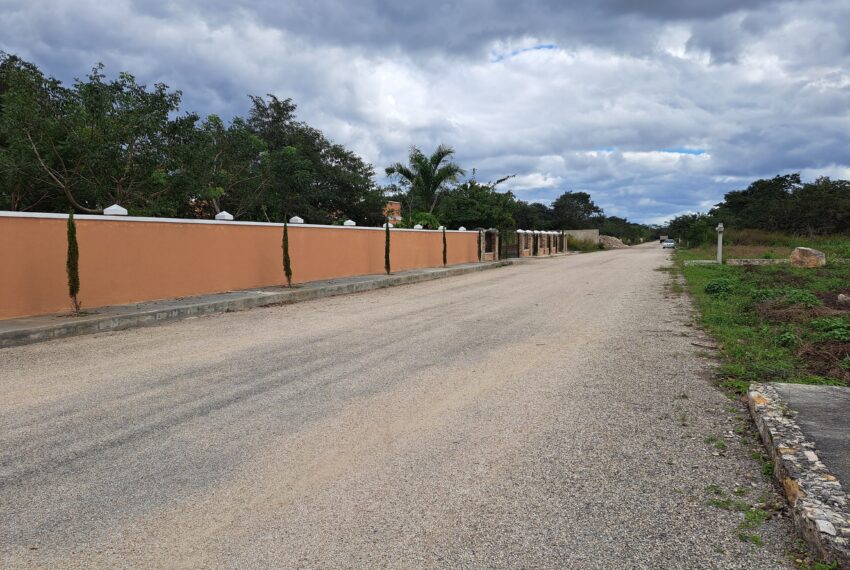 foto5