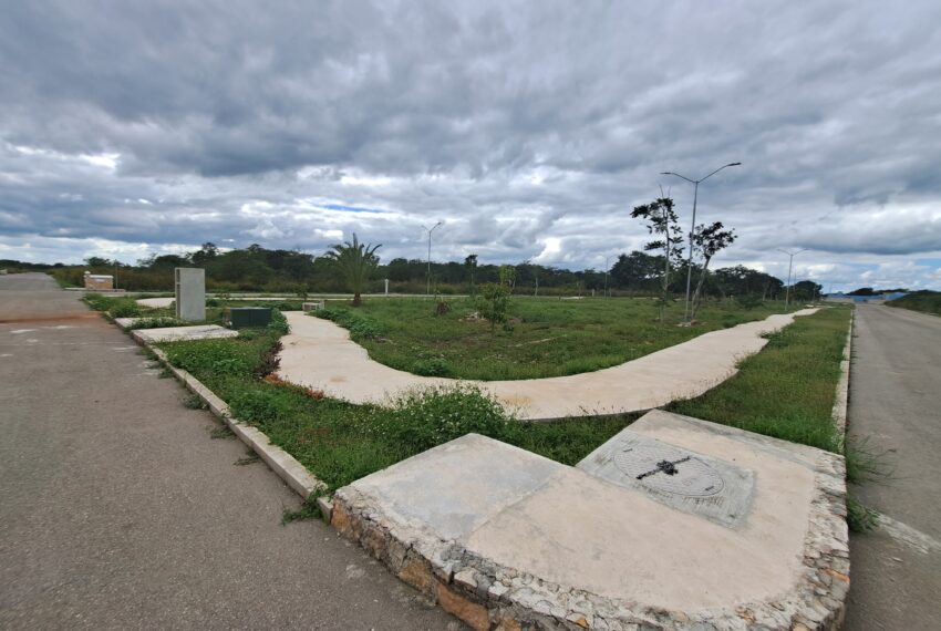 foto6
