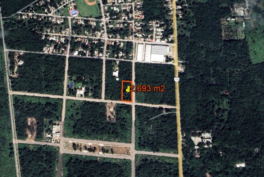 fotosat1