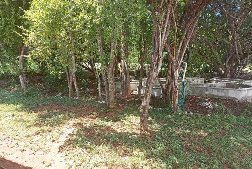 Casa Marañon (25)