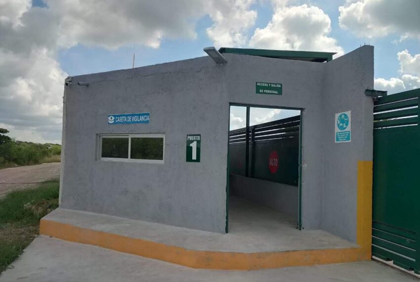 PLANTA6