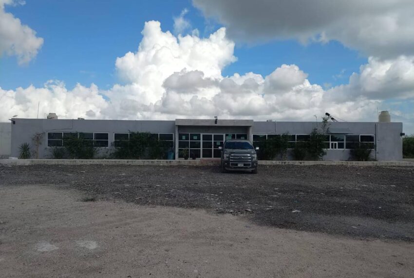 PLANTA7