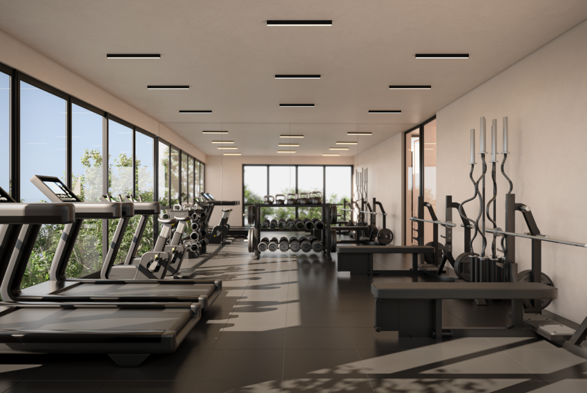 12_GYM