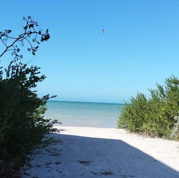 FB_IMG_1722718743622