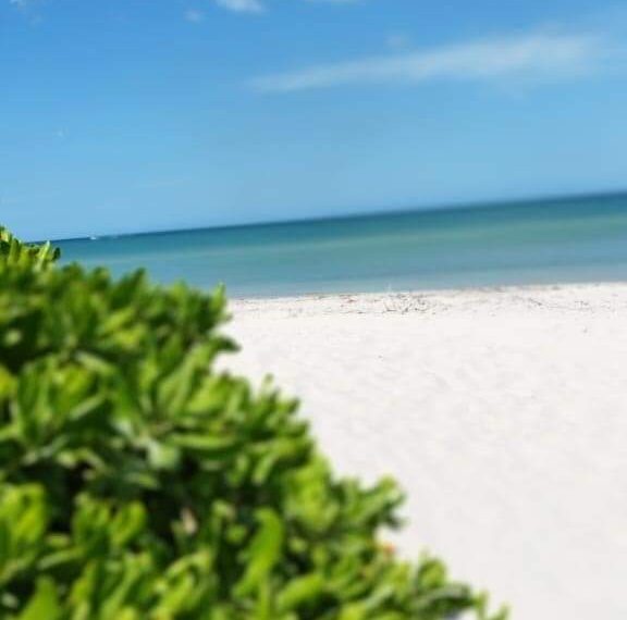 FB_IMG_1722718756671