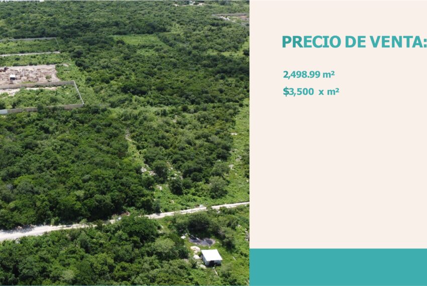 Terreno Dzitya_page-0009