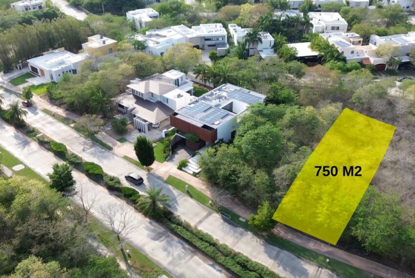 WhatsApp Image 2024-07-05 at 13.09.45_f26b2b9b