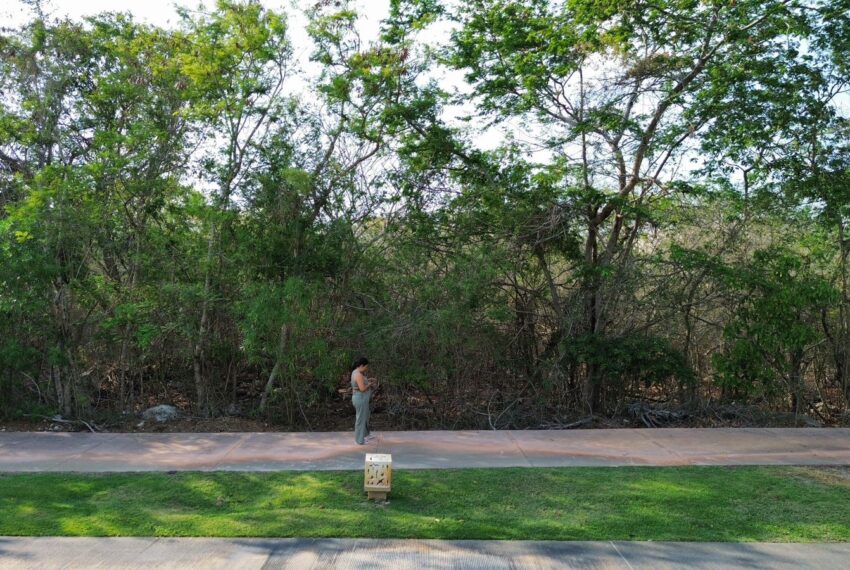 WhatsApp Image 2024-07-05 at 13.11.58_dfedabde