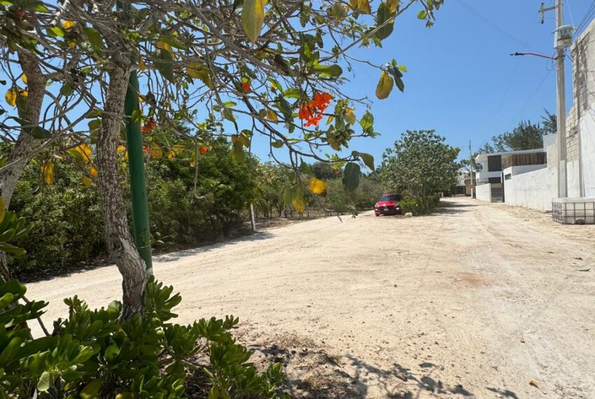 1b0f06ae-b7b5-4e97-b58c-a627e62828c0