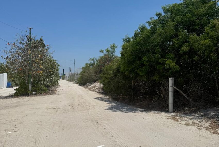 1ffb1192-edac-44c3-849a-7a3b3c650947