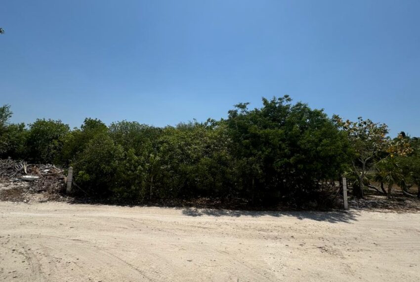 470cb6e7-7a3d-46fd-9e3e-41e697cd4742