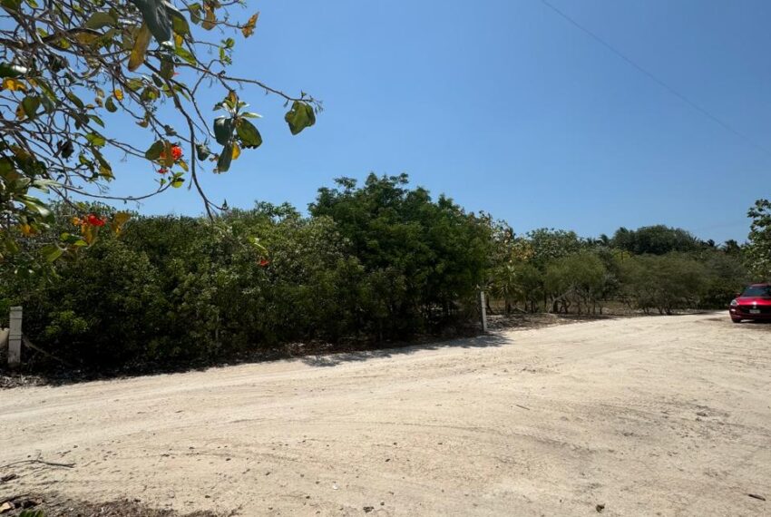 97beb2a8-21ba-4bf2-9b34-ccedb2863c43