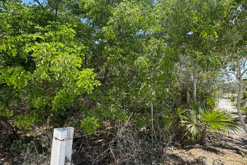 afed991b-b40f-4fe7-a75f-a9fddb212bcf