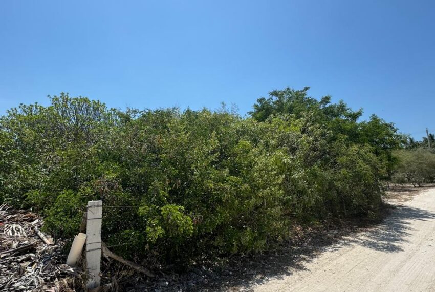 fdedcf4c-ac08-43f2-8c2b-48428b2c859e