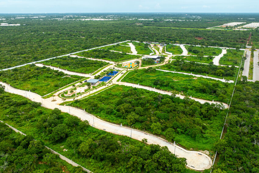 DJI_0416