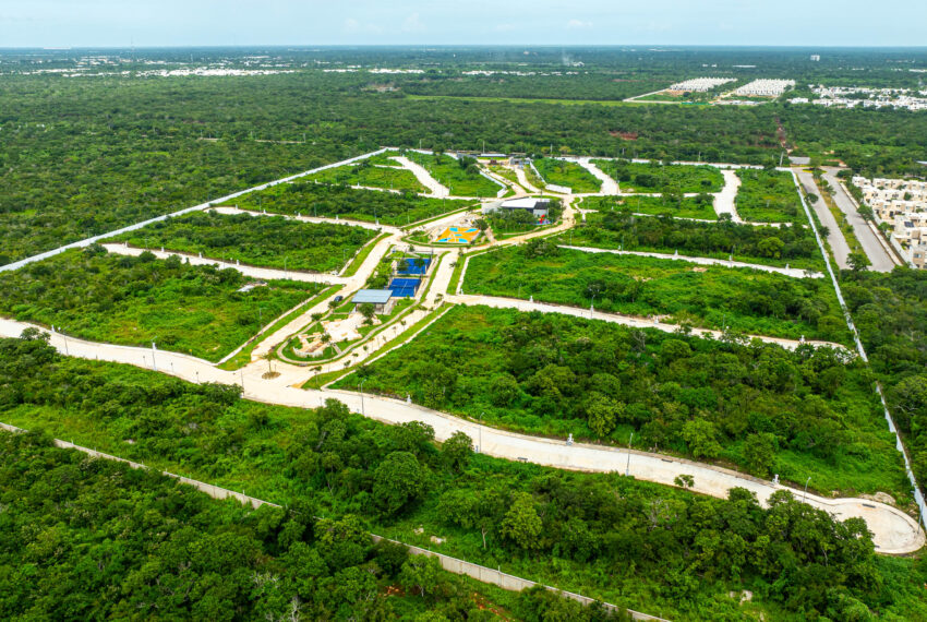 DJI_0420