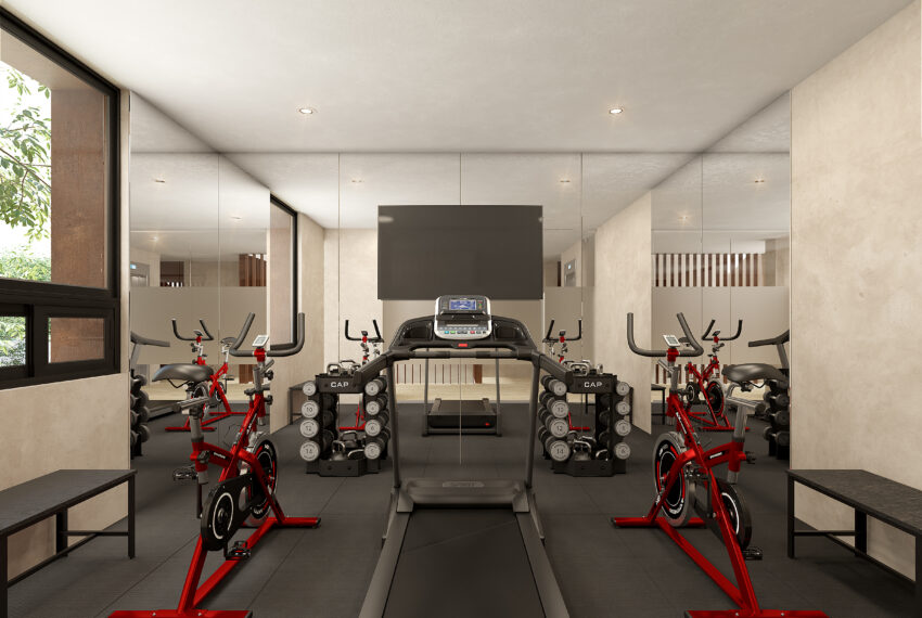 Gimnasio