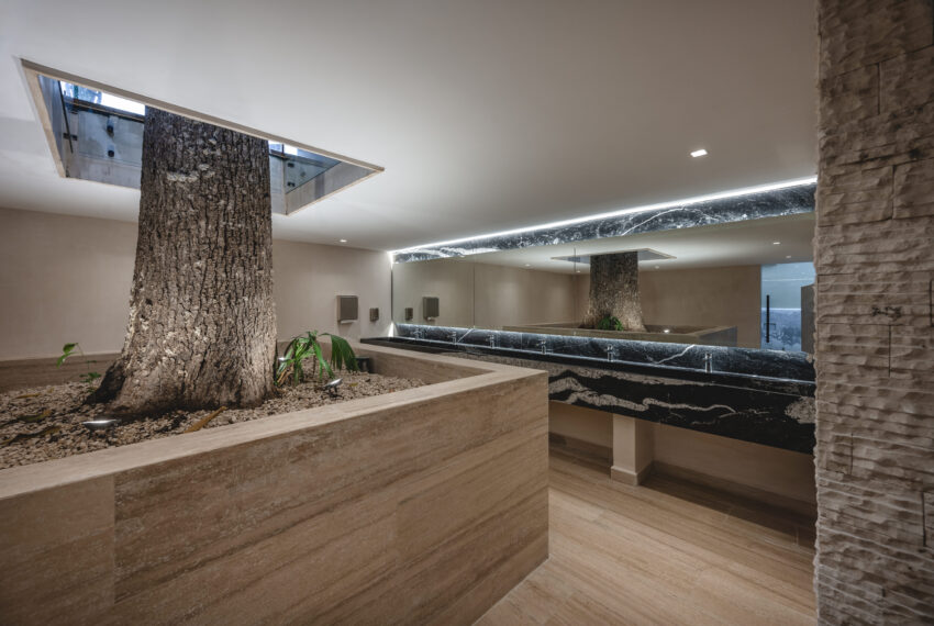 CASONA 333_Foro MB-4