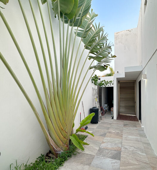 Casa-de-3-Recamaras-en-Venta-en-Merida-en-Privada-Porto-SMAV (1)