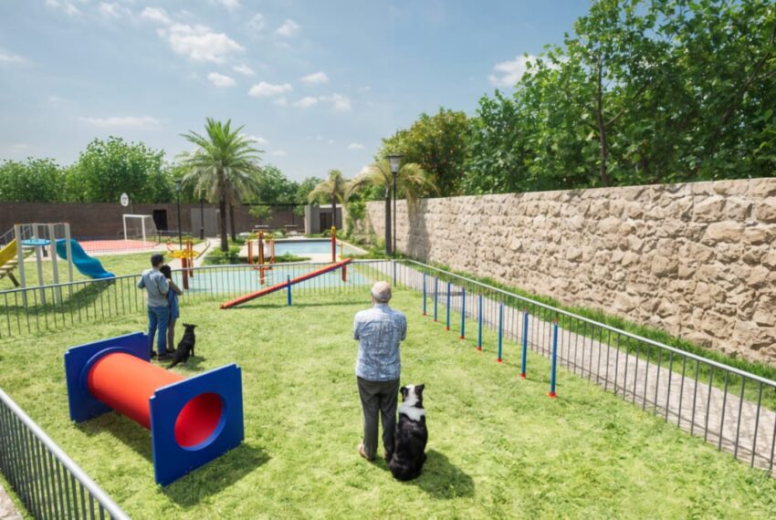 PET PARK