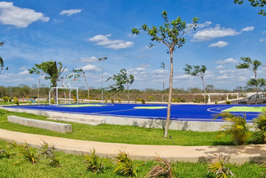 7. Cancha usos múltiples_Camelia