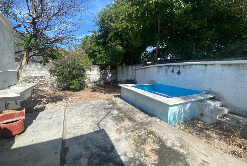 IMG-20250303-WA0004