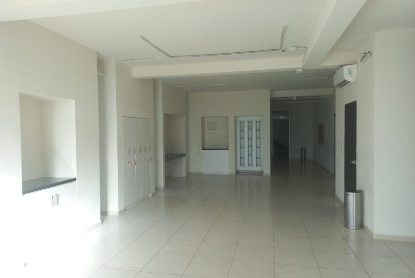 14 Planta Alta