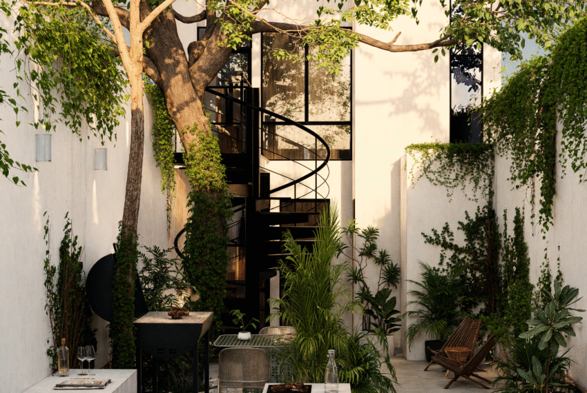 TERRAZA