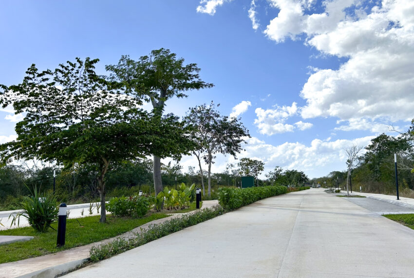 1704-48047-Terreno-en-Venta-en-Privada-Premium-Entretat-Cerca-de-Cabo-Norte_(4)