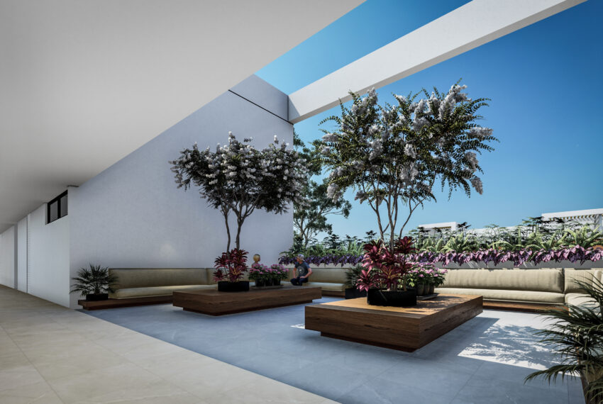 Terraza 01