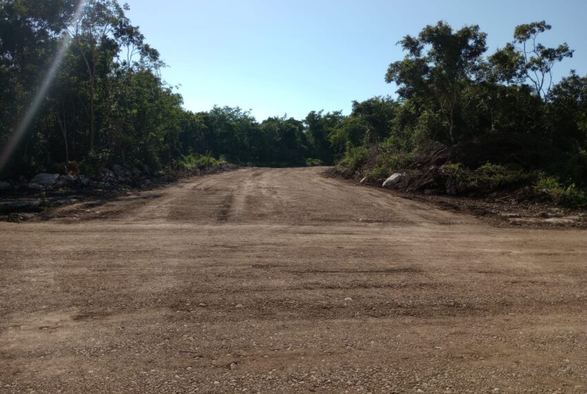 WhatsApp Image 2022-08-22 at 8.00.12 PM (2)