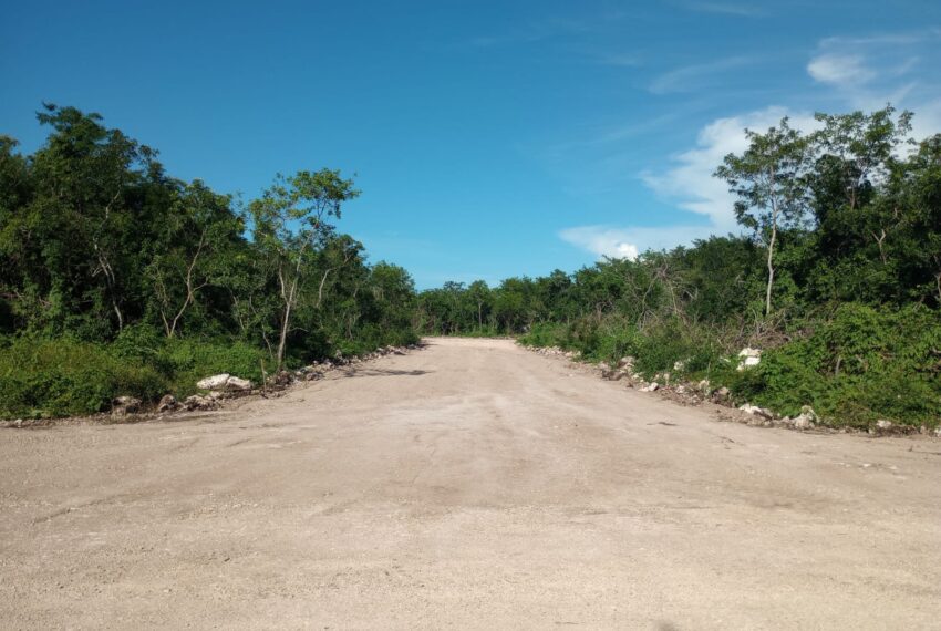 WhatsApp Image 2022-08-22 at 8.00.13 PM (1)