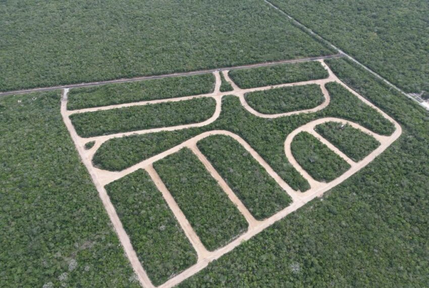 WhatsApp Image 2024-01-23 at 12.54.25 PM