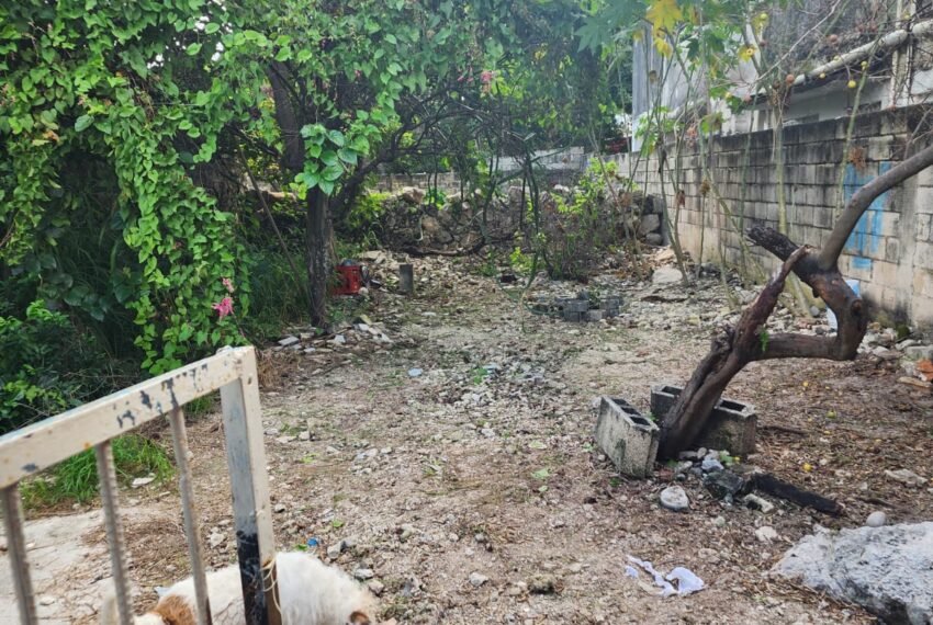 WhatsApp Image 2025-10-18 at 12.19.37 PM (8)