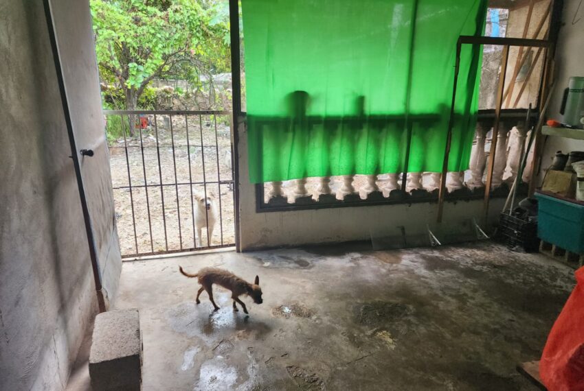 WhatsApp Image 2025-10-18 at 12.19.38 PM