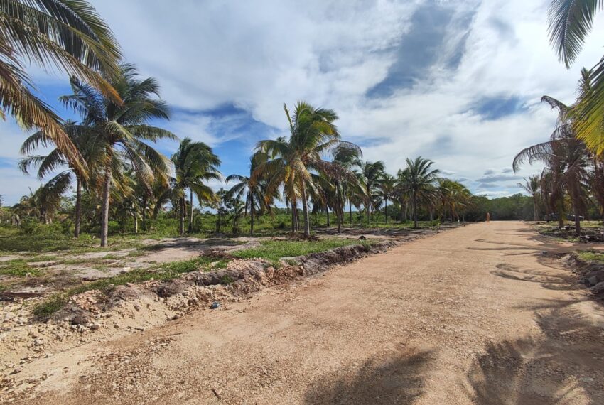 364b67e7-c853-4084-b564-8dd8d88b06ea