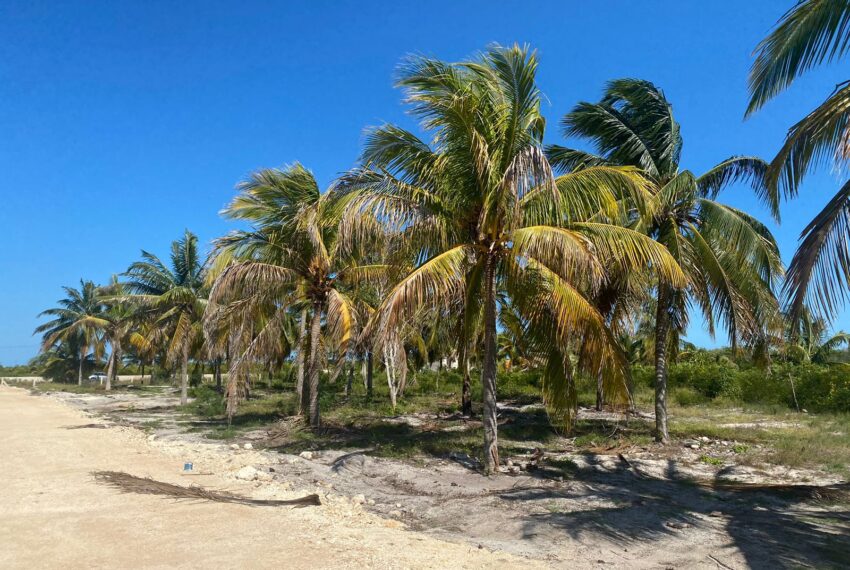 43a86884-8754-4541-bd6e-8815d8b1fd3a