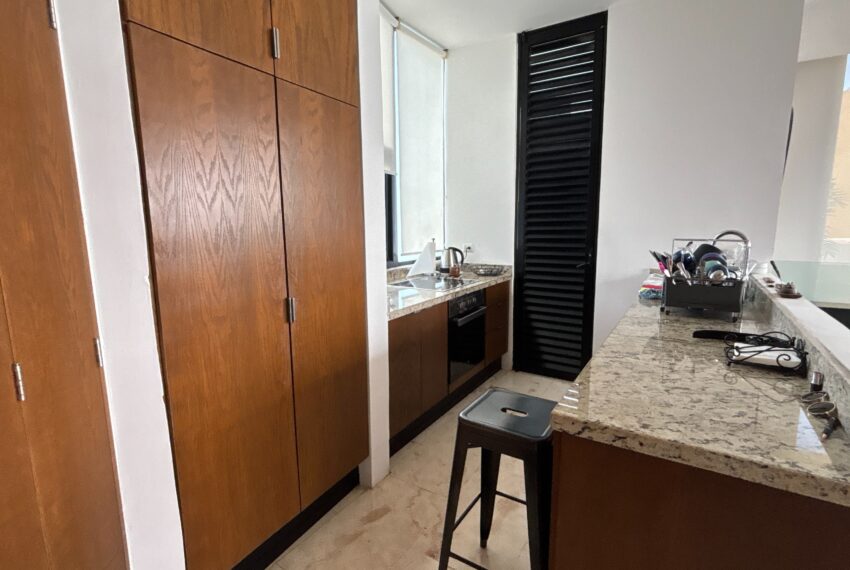 DJI_20250116_143116_173